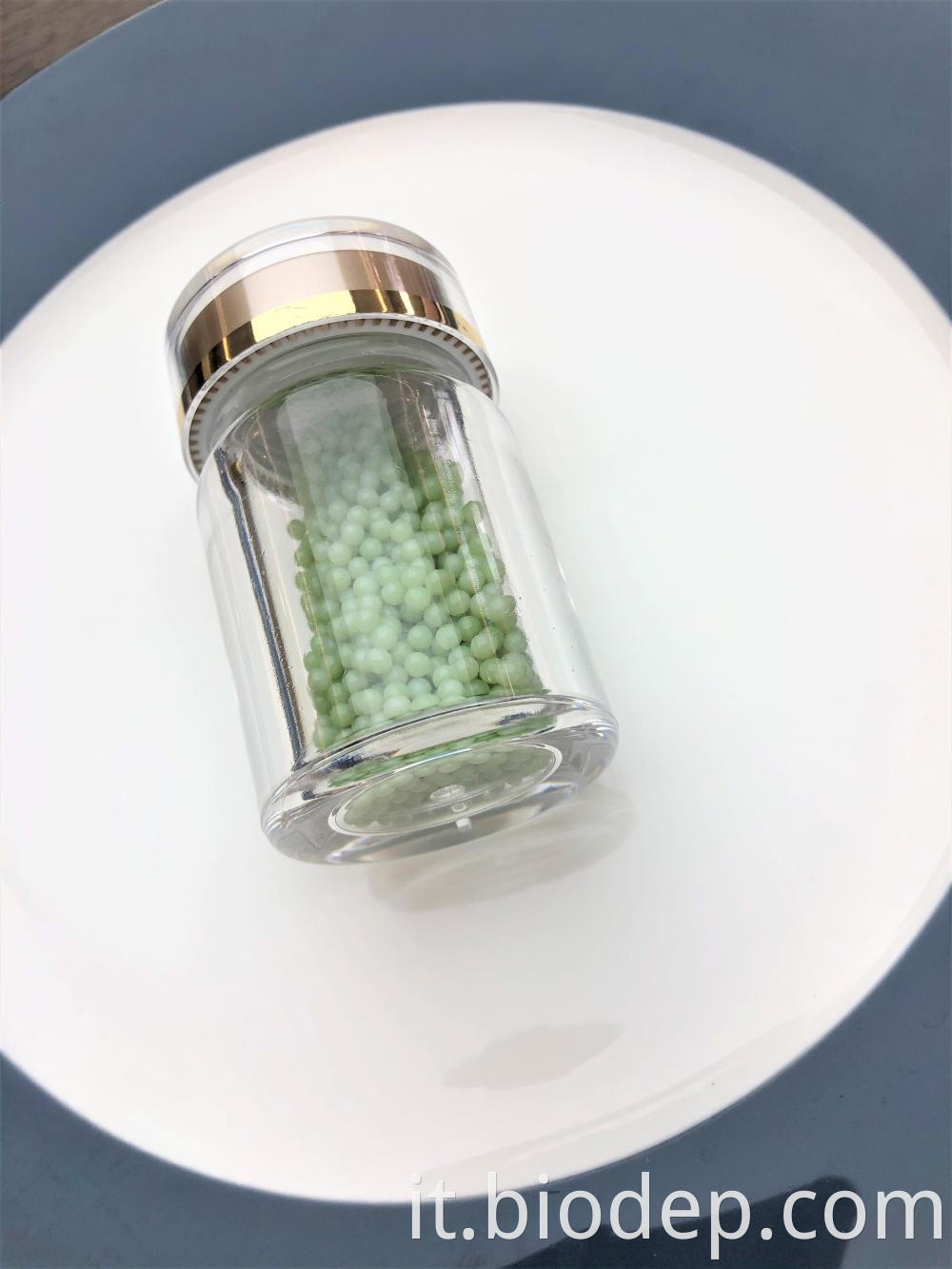 Lactobacillus Bulgaricus